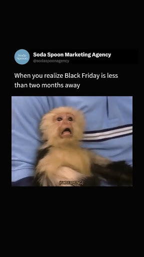 Plan Black Friday Campaigns Now for Success