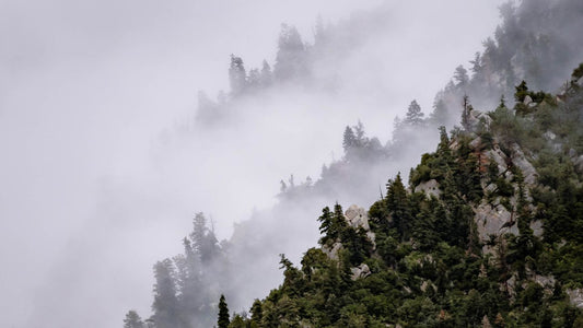 Cottonwood Heights Utah Reaches New Marketing Heights with Soda Spoon