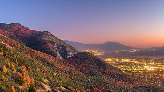 Experience The Best Marketing In Holladay Utah With Soda Spoon