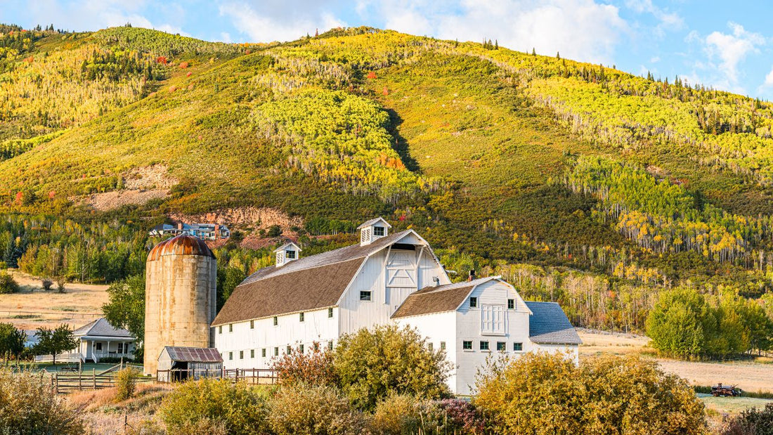 Utah Digital Marketing Agency