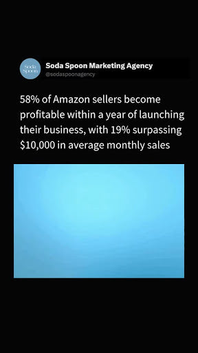 How Sellers Reach Profit on Amazon