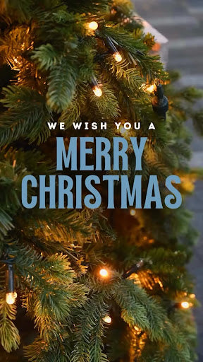 A Merry Christmas from Soda Spoon Marketing