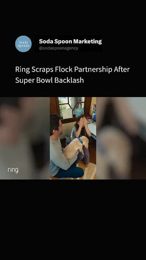 How Consumer Voices Shape Corporate Decisions