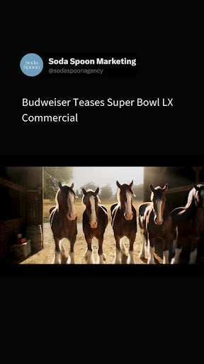 Budweiser's Solo Strategy at the Super Bowl